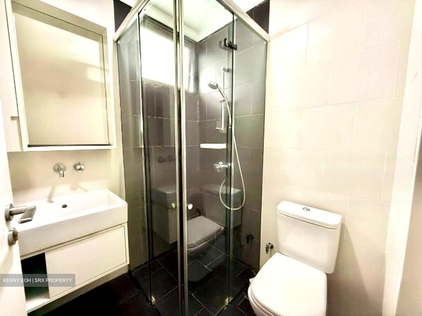 Village @ Pasir Panjang (D5), Condominium #456319311